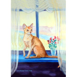 Abyssinian Cat Greeting Cards card