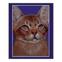 Abyssinian Cat Poster posters