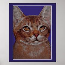 Abyssinian Cat Poster