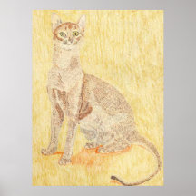 Abyssinian Cat Print