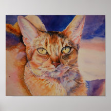 Abyssinian Cat Print