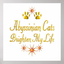 Abyssinian Cats Brighten My Life Posters