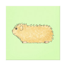 Abyssinian Guinea Pig. On Mint Green. Canvas Prints