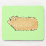 Abyssinian Guinea Pig. On Mint Green. Mouse Pad