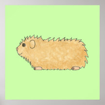 Abyssinian Guinea Pig. On Mint Green. Posters