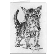 Abyssinian Kitten card
