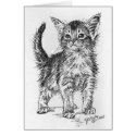 Abyssinian Kitten Pen and Ink cards