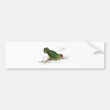 Abyssinian Parrakeet by Edward Lear Bumper Stickers