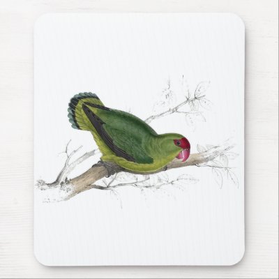 Abyssinian Parrakeet by Edward Lear Mouse Mat by DejaVuParrots