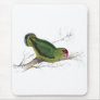 Abyssinian Parrakeet by Edward Lear Mouse Mat