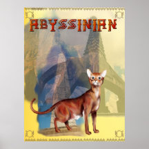 Abyssinian Poster