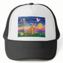 Abyssinian (red 18) - Twilight (horiz) hats
