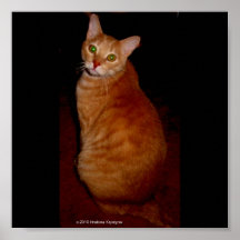 ABYSSINIAN SEATED POSTERS