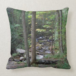 AC- Awesome Nature Strream Pillow