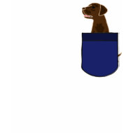 AC- Chocolate Labrador in a Pocket Shirt shirt