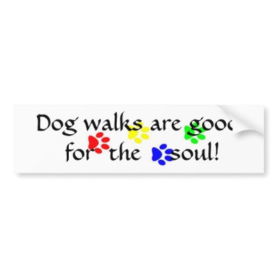 AC- Dog walks are good  for  the soul sticker Bumper Stickers by patcallum