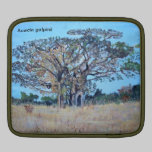 Acacia galpinii for MacBook Sleeves ipad sleeves