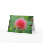 "Acacia PomPom" Greeting Card