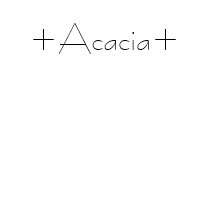 +Acacia+ t-shirts