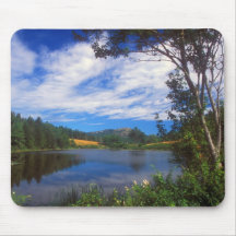 Acadia Long Pond Summer View Mousepads