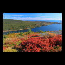 Acadia National Park Acadia Mountain Somes Sound posters