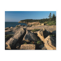 Acadia National Park , Maine 2 Postcard