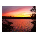 acadia national park sunset posters