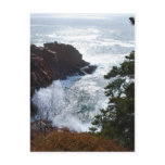 Acadia Postcard - 5