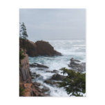 Acadia Postcard - 8