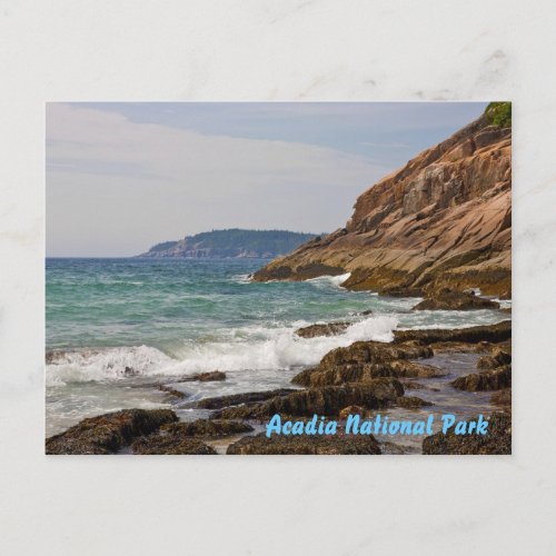 Acadia Shore Postcard postcard