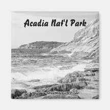 Acadia Shore Sketch Magnet