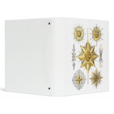 Acanthometra 3 Ring Binders by Ernst_Haeckel
