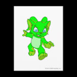 Acara Glowing