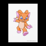 Acara Orange Post Cards