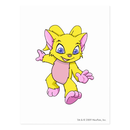 Acara Yellow Post Cards