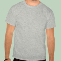 Access MVP Global Summit 08 (grey) t-shirts