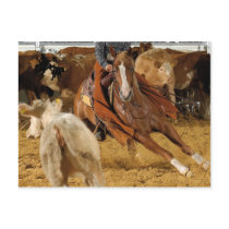 Accessoires Cabernet CHA Carte Postale 3 postcards