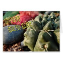 Accident-get better-customize cards by MakaraPhotos Accident-get better-customize cards