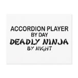 Accordion Deadly Ninja by Night Post Card