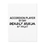 Accordion Deadly Ninja by Night Postcards