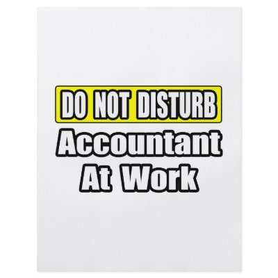 Accountant At Work Custom Flyer by accountantshirts