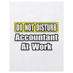 Accountant At Work Custom Flyer