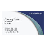 Accountant Business Cards business cards