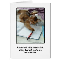 Accountant Kitty Greeting Card cards
