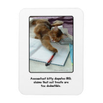 Accountant Kitty Magnet magnets
