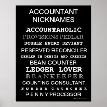 Accountant Nicknames Motivational Poster