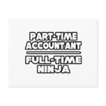 Accountant / Ninja Post Card