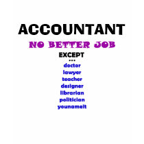 Accountant - No Better Job t-shirts
