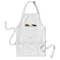 Accounting 3 apron