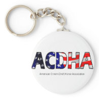 ACDHA Flag Letters Keychain